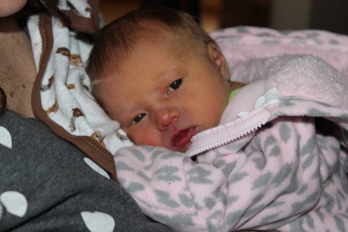 Arielle Mara Engelman  4 days old